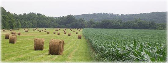 Integrity Ag Field Image